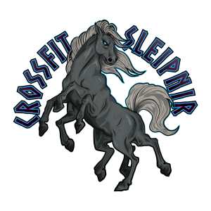 CrossFit Sleipnir – Crossfit Evreux Netreville